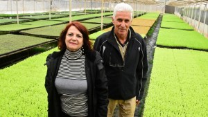 Aniversario de Allen: Un productor allense de pura cepa