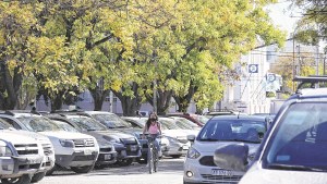 Cómo será la red de ciclovías y bicisendas de casi 15 kilómetros en Viedma