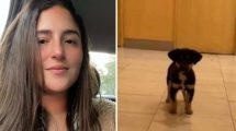 Imagen de Se llevó al perrito de un indigente en Recoleta y la acusaron de «ladrona»