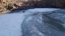 Imagen de Este perro encontró una pista de hielo en un río congelado de Neuquén