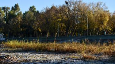 Las heladas y la niebla se harán presentes durante la semana en la región. (Foto Matías Subat).-