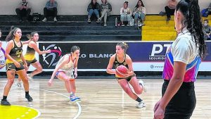 Cuatro equipos zonales dirán presente en la nueva Liga Federal de básquet femenina