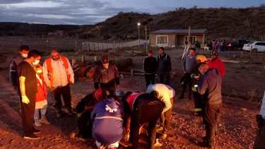 Se le detectó politraumatismo, escoriaciones y heridas cortantes. Se encuentra estable y con signos vitales normales. Foto: Gentileza Comisaría 13 de San Patricio del Chañar.