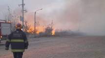 Imagen de Un incendio afectó cuatro hectáreas en Plottier: trabajaron cinco dotaciones