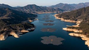 Construyeron un impresionante parque solar flotante y con paneles en forma de flores