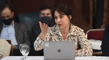 Imagen de Una senadora neuquina propone eliminar el IVA a las tarifas de gas, luz y agua