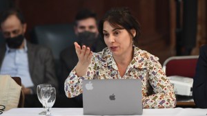 Una senadora neuquina propone eliminar el IVA a las tarifas de gas, luz y agua