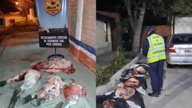 Se decomisario casi 170 kilos de carne faenada entre dos vehículos. Fotos: gentileza