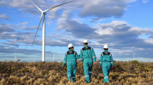 Imagen de Las renovables batieron el récord anual de generación de energía