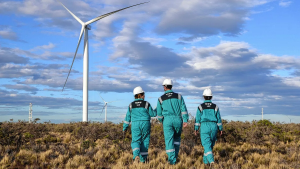 Llegaron los super generadores para un parque eólico de YPF Luz