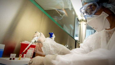 Las muestras de los pacientes tucumanos están siendo analizadas por el Instituto Malbrán. Foto ilustrativa. 
