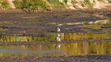 El lecho del río Limay al descubierto por la falta de agua (foto Matías Subat)