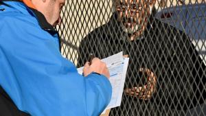 Censo 2022: arrancaron las entrevistas presenciales y en la región 25.000 censistas salen a relevar 590.000 viviendas