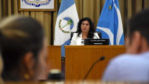El Deliberante repudió el afiche nazi asociado a la lucha feminista