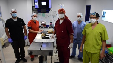 El equipo, funcionando a pleno durante uno de los procedimientos médicos. (Fotos: César Izza)