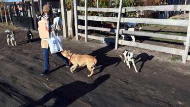 La tarea se realizará hasta el próximo martes 24. Foto: Marcelo Ochoa