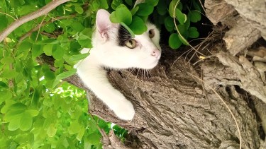 "Batata" nuestra protagonista en la nota de hoy