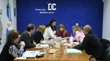 Imagen de El Concejo Deliberante trabaja en un proyecto para disponer guardias veterinarias en Cipolletti