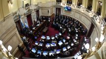 Imagen de Con la ayuda de Weretilneck, el oficialismo logró la media sanción en el Senado para ampliar la Corte Suprema