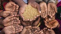 Imagen de La guerra en Ucrania puede provocar más hambre en el mundo: así podríamos remediarlo