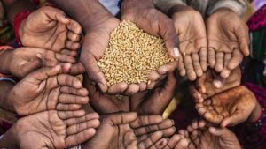 La guerra en Ucrania puede provocar más hambre en el mundo: así podríamos remediarlo
