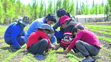 Fondos rotatorios fortalecen la agricultura familiar