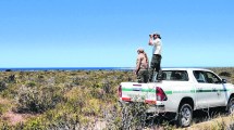 Imagen de Islote Lobos: el nuevo Parque Nacional de Río Negro, en la mirada de quienes lo cuidan