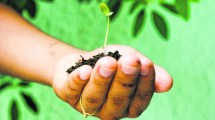 Imagen de La relación entre psicoanálisis y medio ambiente