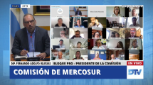 Imagen de Diputados trabaja en el acuerdo Mercosur-Unión Europea