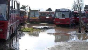 Los colectivos estuvieron meses estacionados en el predio de la firma en el barrio 28 de Abril. Foto archivo