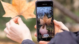 4 cursos sobre creatividad digital para regalarle a papá en su día