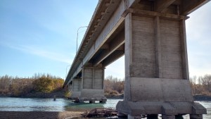 Bajo caudal en el río Negro: entre la falta de agua y el robo de animales en la zona ribereña