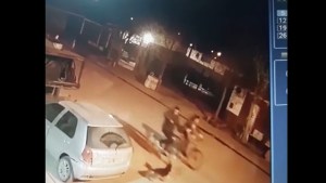 Pidieron la intervención de la justicia por la muerte del perro baleado en Cipolletti
