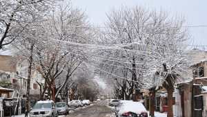 En fotos: llegó la nieve a Cipolletti