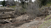 Imagen de El medio ambiente en riesgo por el avance inmobiliario en Bariloche