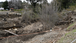 El medio ambiente en riesgo por el avance inmobiliario en Bariloche