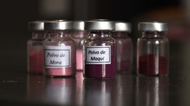 Percepción. Los productos con polvo de maqui fueron más aceptados