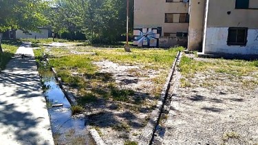 La situación se da en diversos barrios de la capital rionegrina.