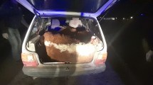 Imagen de Tres casos de faena clandestina con pocas horas de diferencia en Viedma y Conesa
