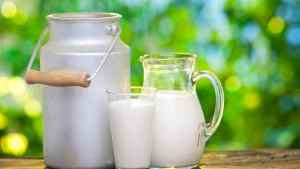 Una dieta especial en las ovejas permitió generar productos lácteos «de alto valor nutricional»