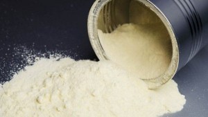 Historias de Neuquén: producir leche en polvo, pero sin vacas