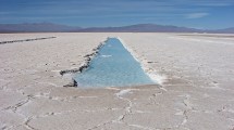 Imagen de Argentina podría multiplicar por seis su producción de litio en cinco años