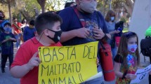 Imagen de Abusaron de una perra en un barrio de Cipolletti, advirtió Funpabia