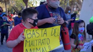 Abusaron de una perra en un barrio de Cipolletti, advirtió Funpabia