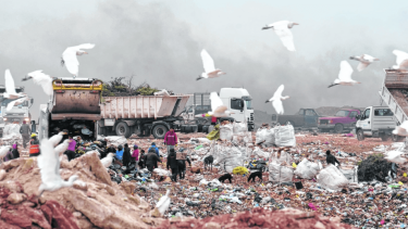 * Vivir de la basura. Las familias concurren al complejo para recolectar cartón, plástico y todo material que se pueda comercializar. (FOTO: Matías Subat)