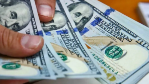 Cuáles son las dos principales causas que llevaron al dólar blue a $356