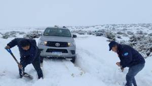 Un criancero llevaba 15 días aislado por la nieve y los pumas le mataron animales