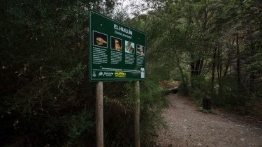 En el parque municipal Llao Llao hay senderos para caminar. Foto: Marcelo Martinez