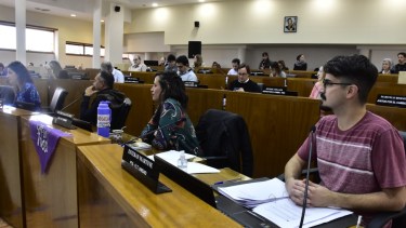 El Concejo Deliberante de Neuquén entra en receso por dos semanas. (FOTO: Yamil Regules)