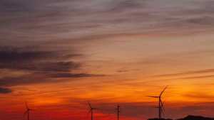 Conocé el podio de los parques eólicos más productivos del país
